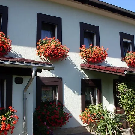 Bayer * Kurort Gohrisch